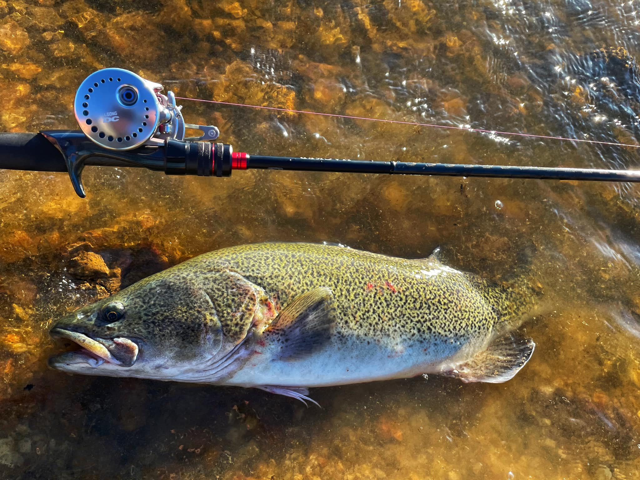 The Dweeb goes fishing